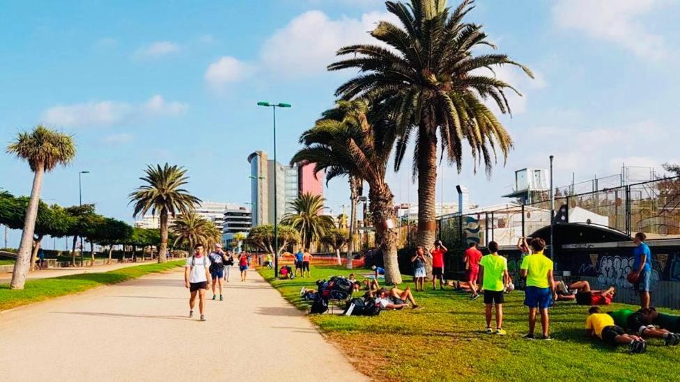 Apartamento Parque Jardin Las Palmas de Gran Canaria Zewnętrze zdjęcie